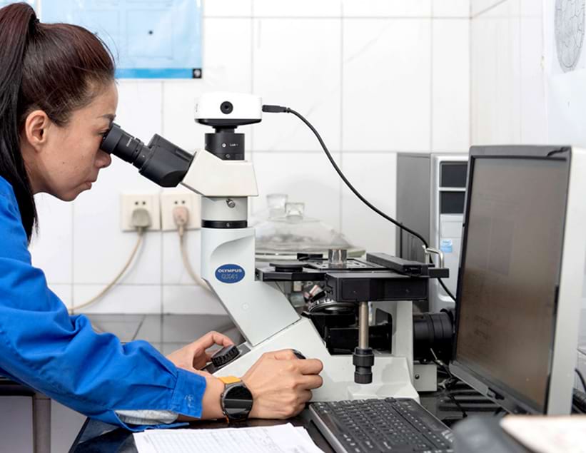 Metallographical microscope — microstructure analysis